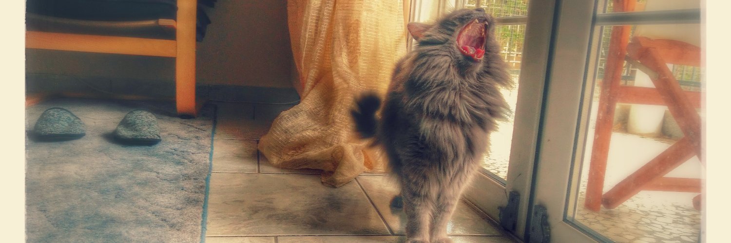 Fotis Chatzinicolaou banner