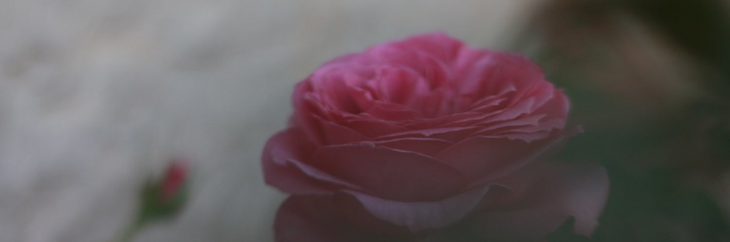 SameeraSn20201's profile banner image