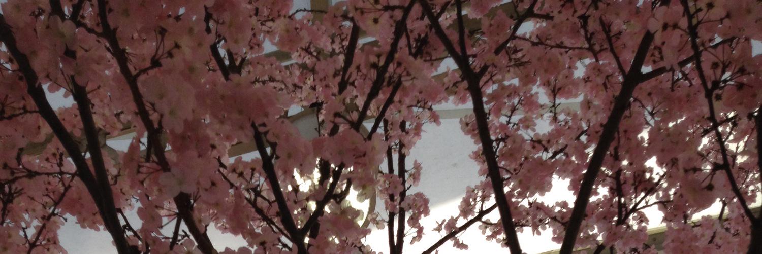 help_help_cat's profile banner image