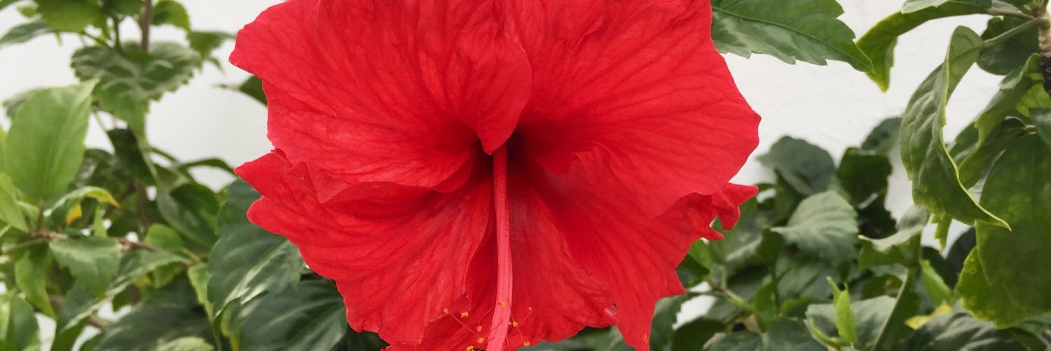 SocProf's profile banner image