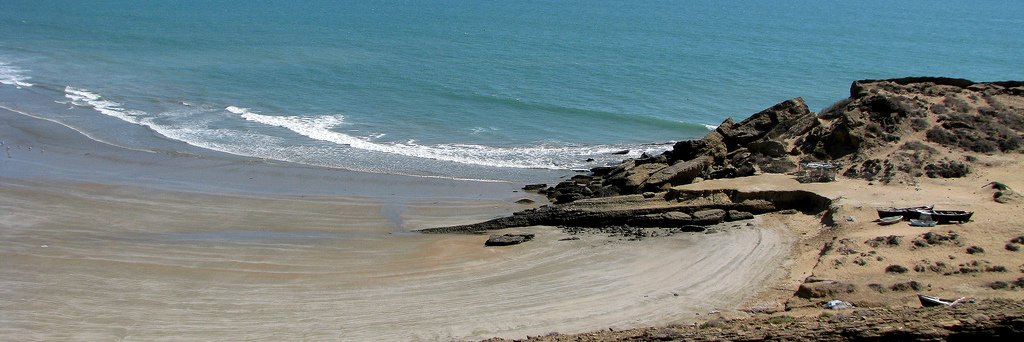 Dr. Maria Sultan banner