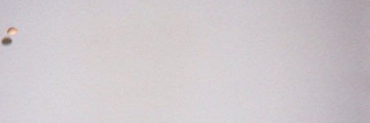 88ofMino's profile banner image
