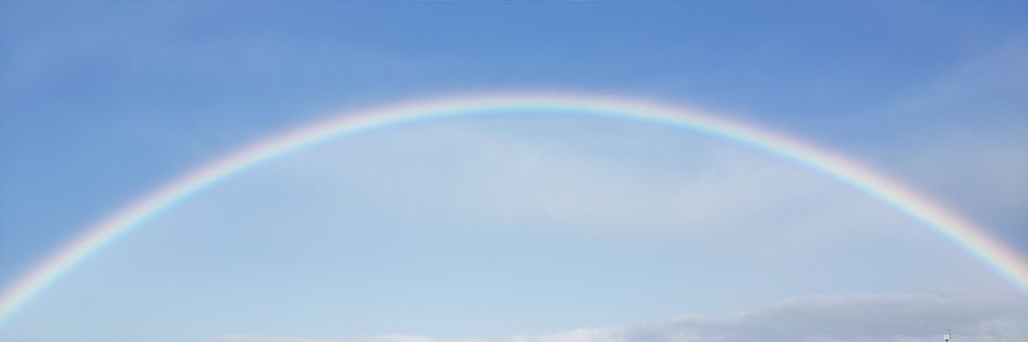 neruneruV's profile banner image
