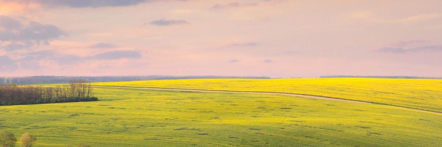 Kamel_KBF's profile banner image