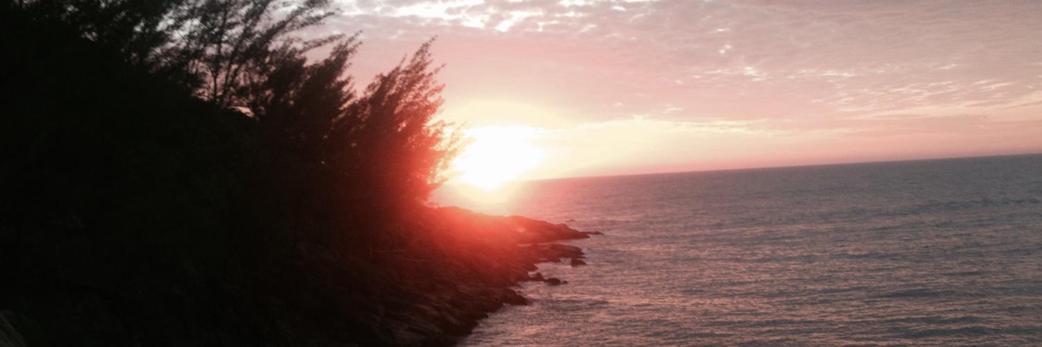 Roberto Kralik banner