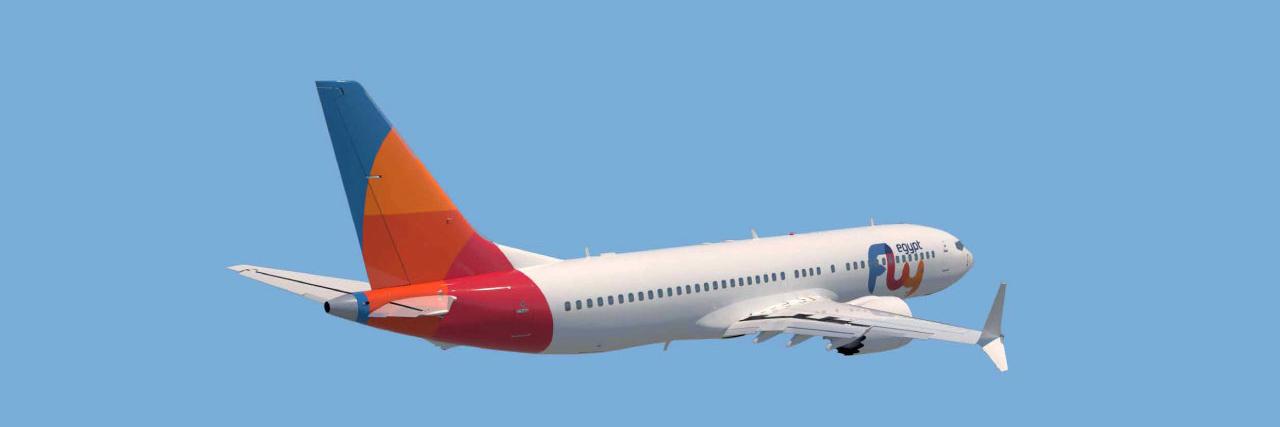 flyEgypt banner