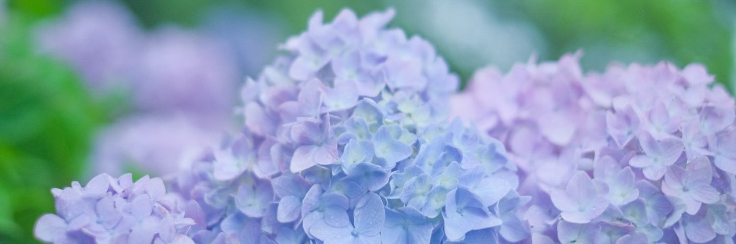 mil_cara's profile banner image