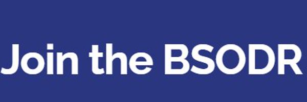 BSODR_UK Profile Banner