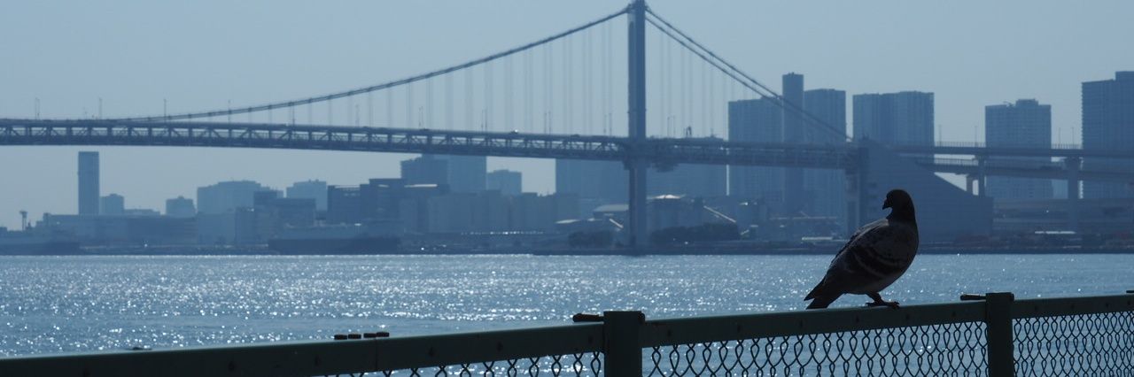 wkaba123's profile banner image