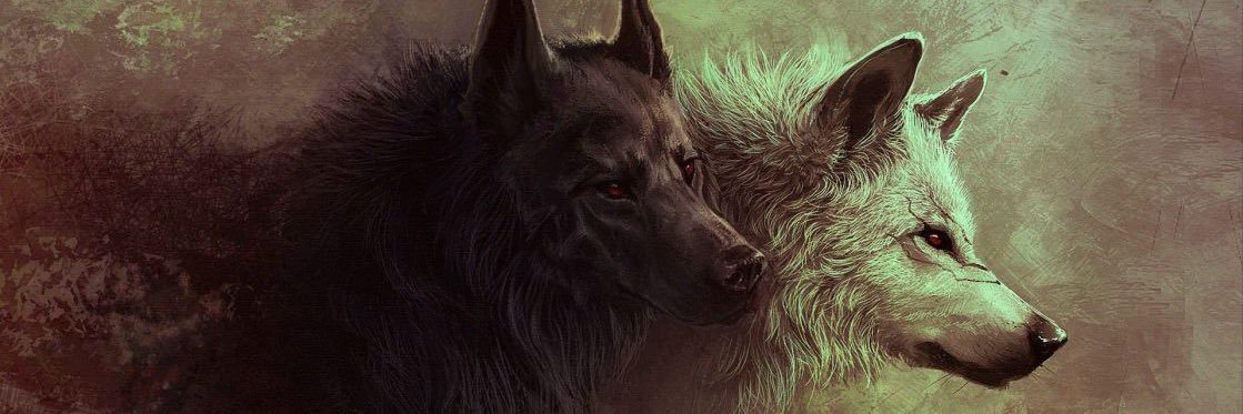 WolfSixty's profile banner image