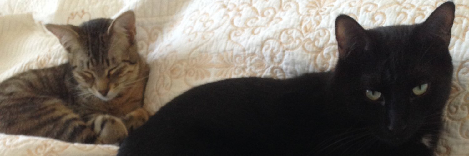 hWinstonvonshim's profile banner image