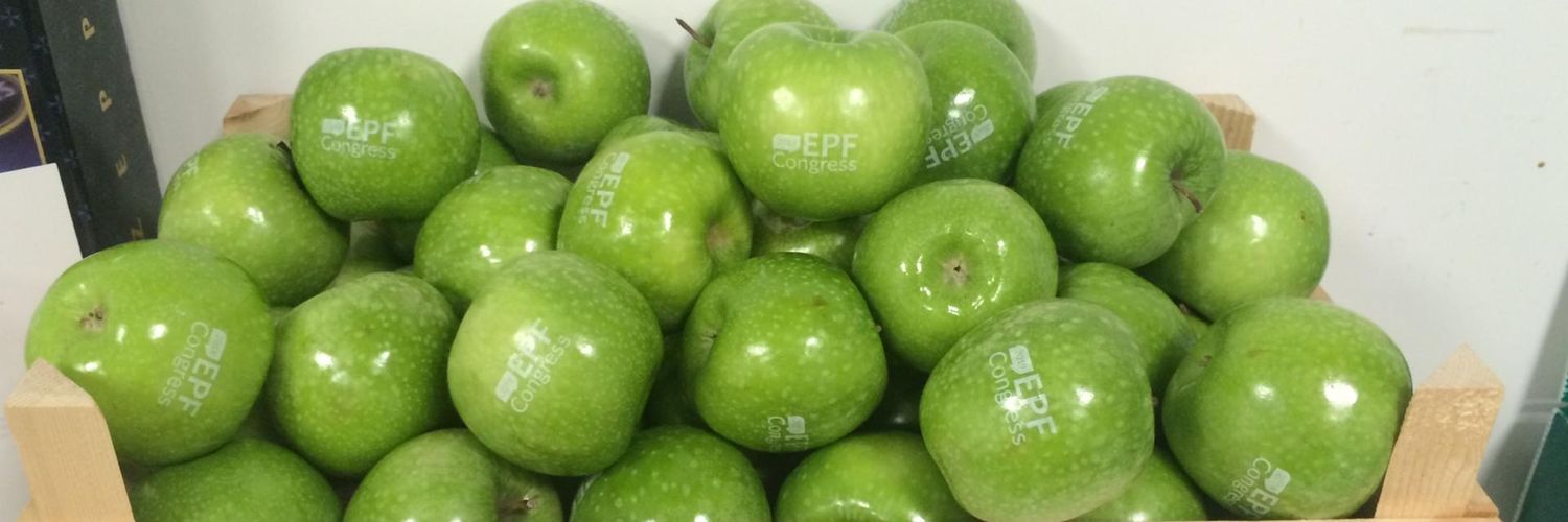 Valentina Strammiello banner