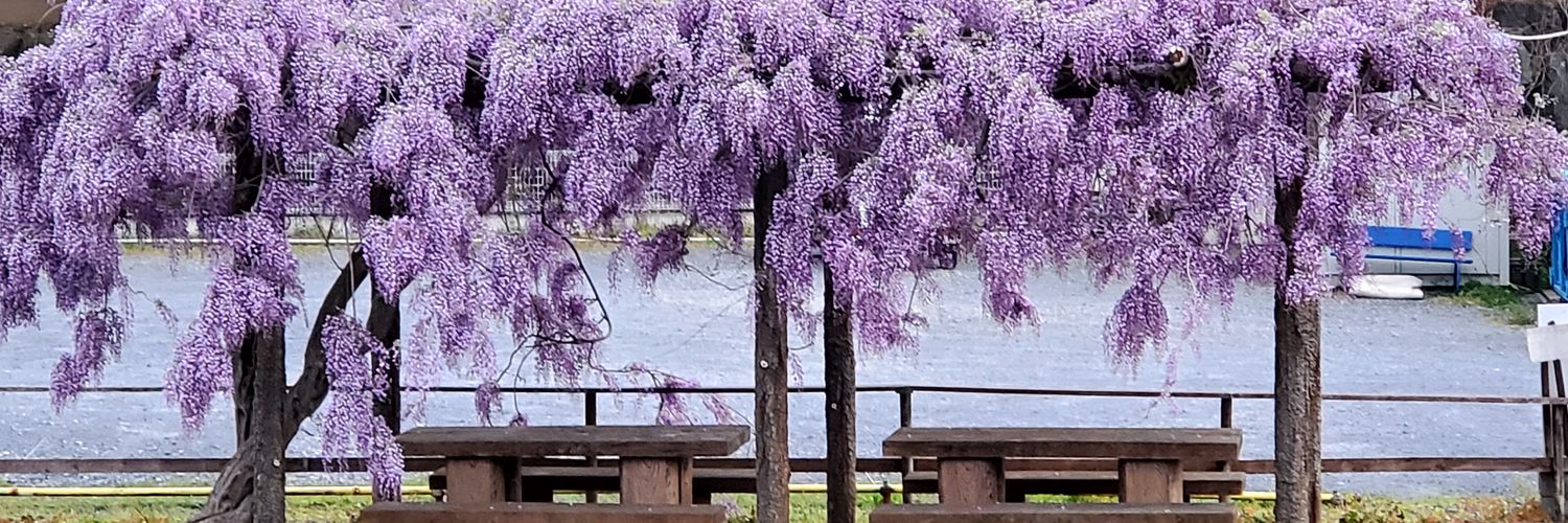 anyhay29's profile banner image