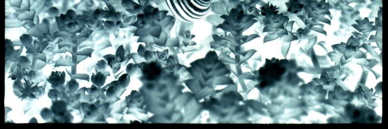 NiinemetsLab's profile banner image
