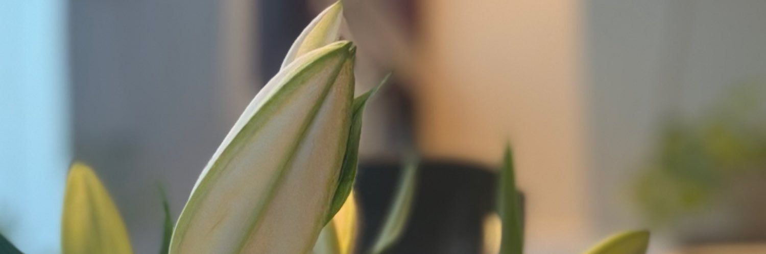 may_6686's profile banner image