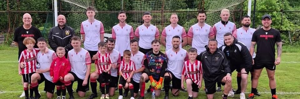 Ashley Hamilton banner