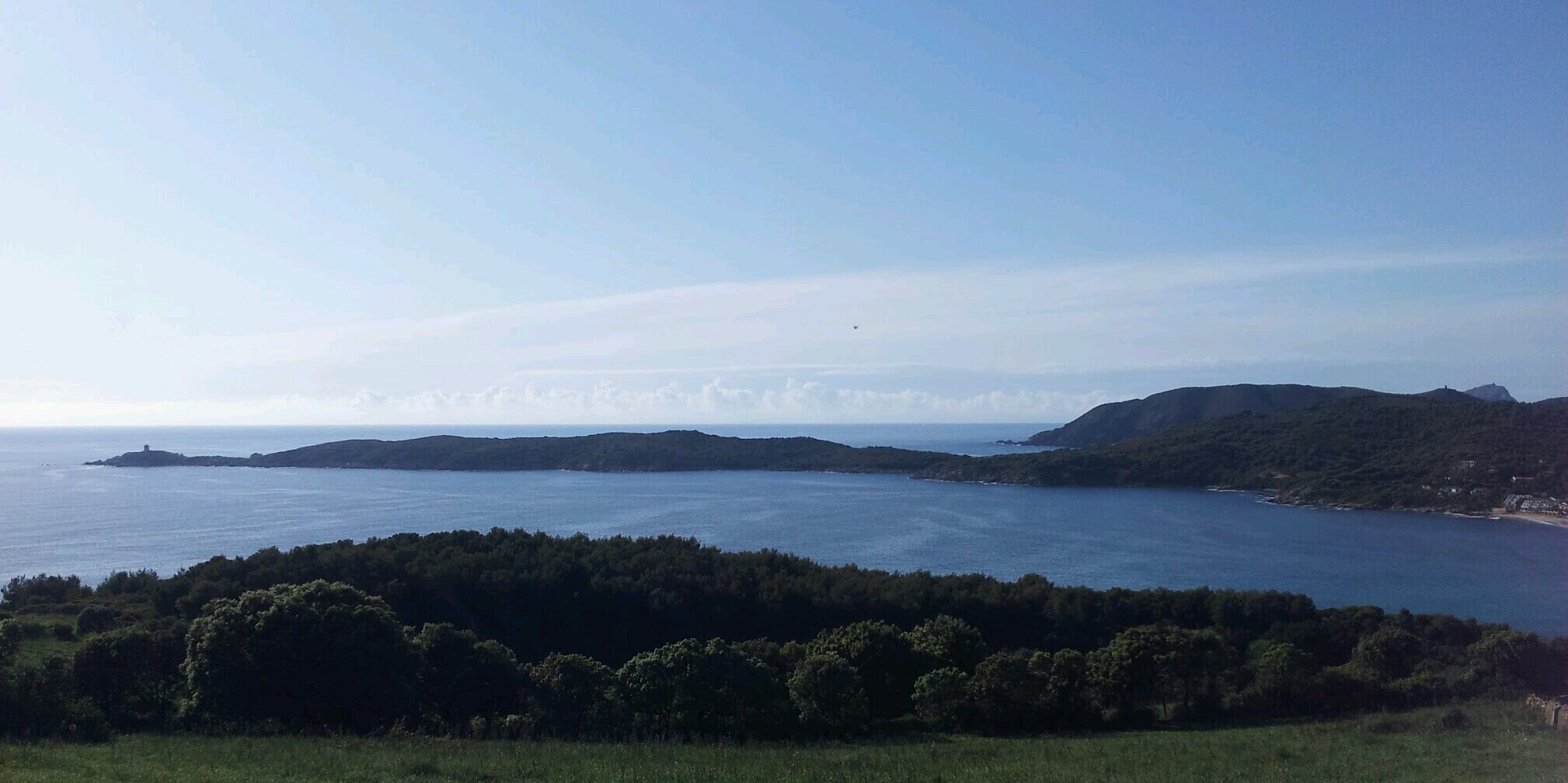lrineau's profile banner image