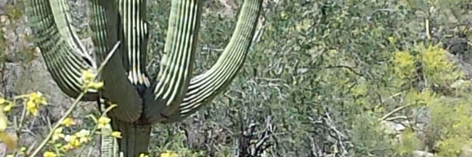 kmakuc's profile banner image