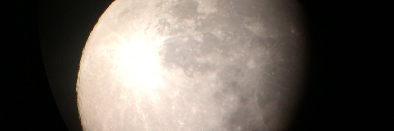 Lisa Bickerstaffe banner