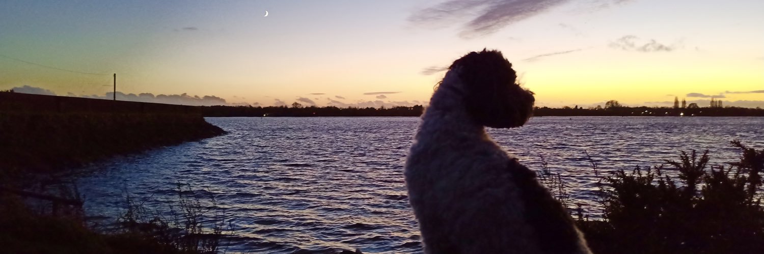 mateybloke's profile banner image