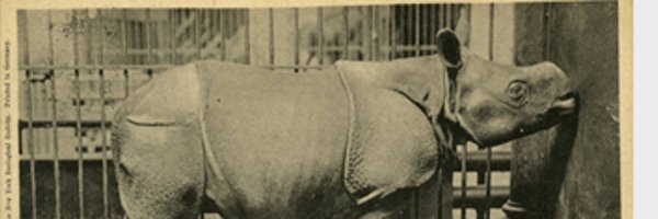 _DanMangan Profile Banner