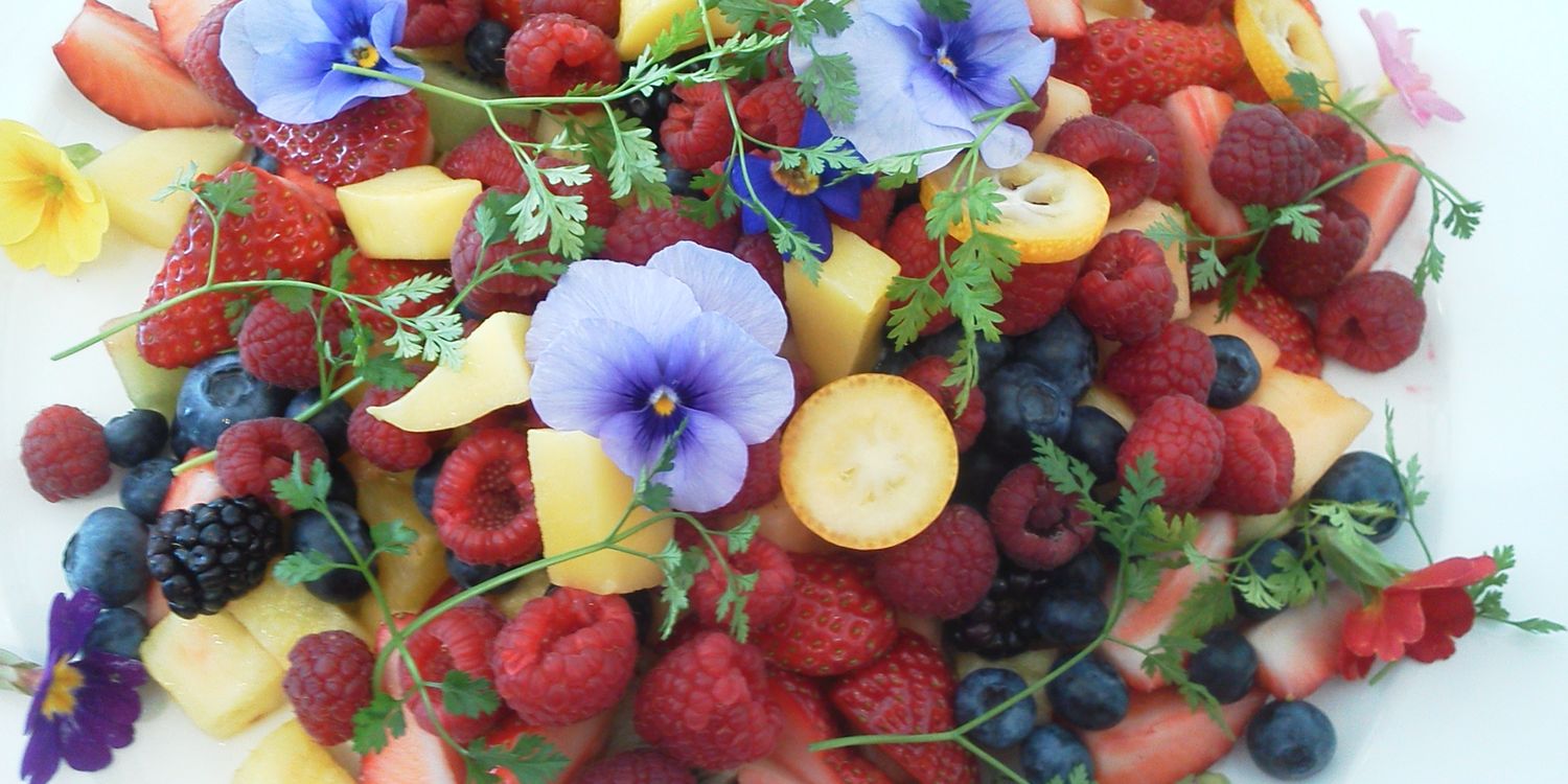 723piknik's profile banner image