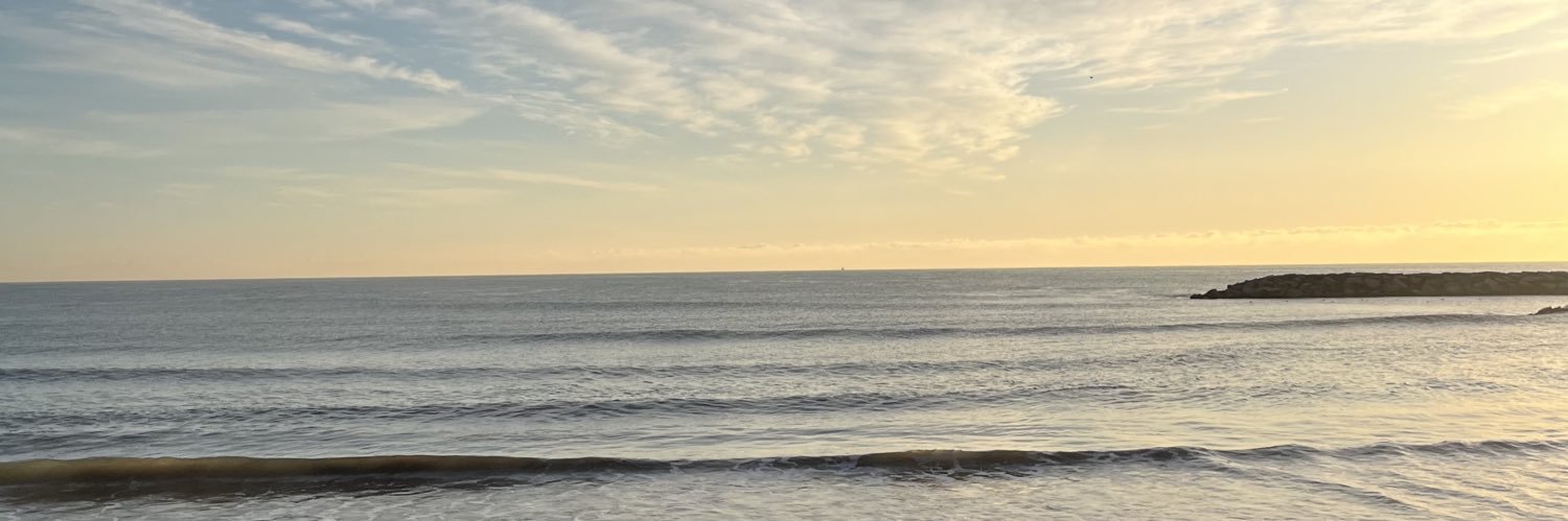 lucerogauna_'s profile banner image