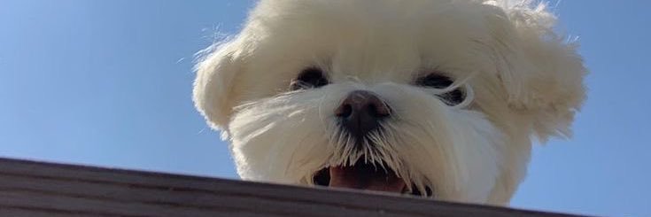 jikwonnn's profile banner image