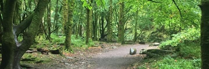 Dobbi52's profile banner image