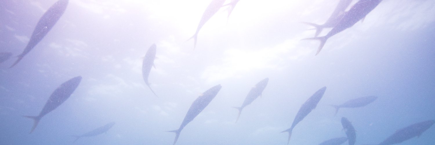 Scuba_Heycho's profile banner image