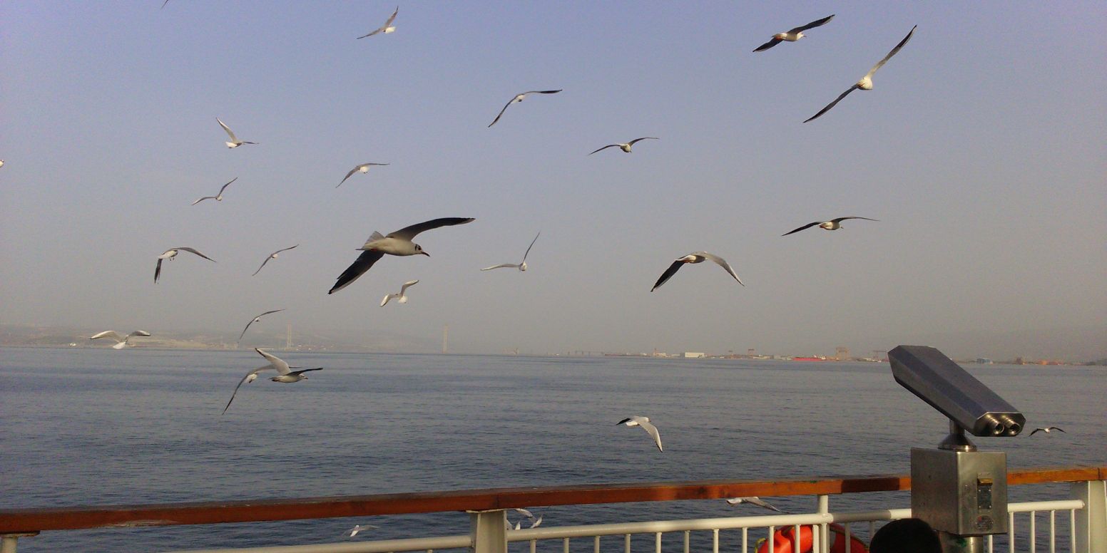 Barış Yılmaz banner