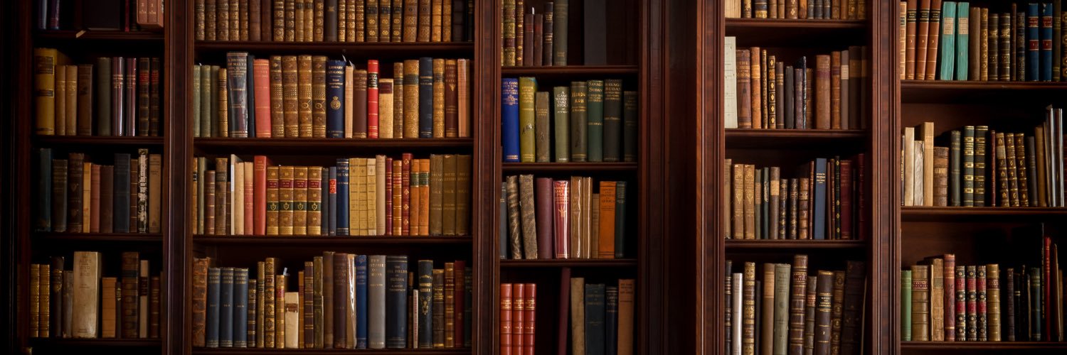 madcap_Ally's profile banner image