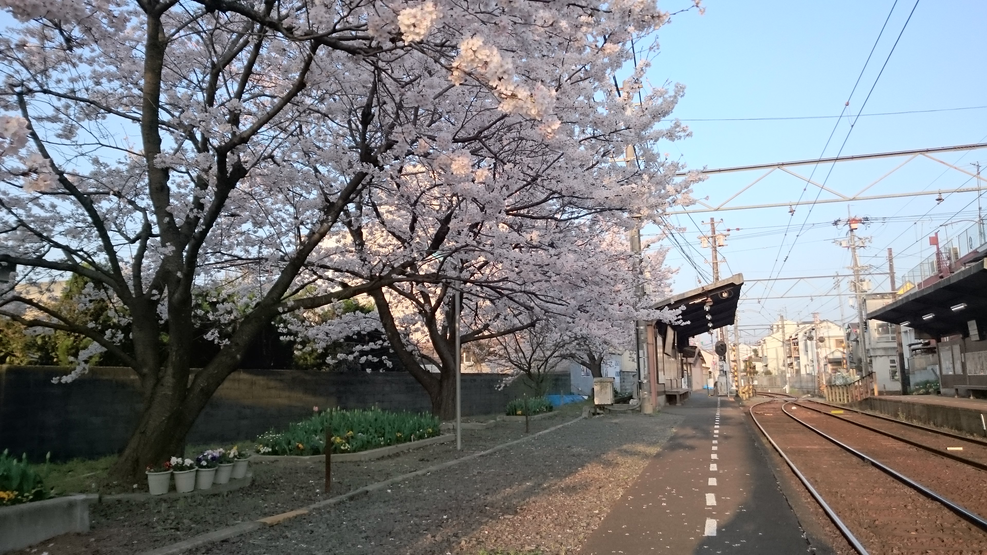 ChitoseChiyoda banner