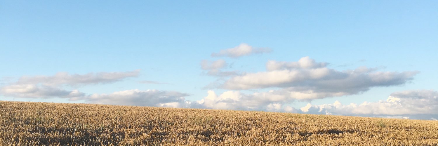 lissyandco_'s profile banner image