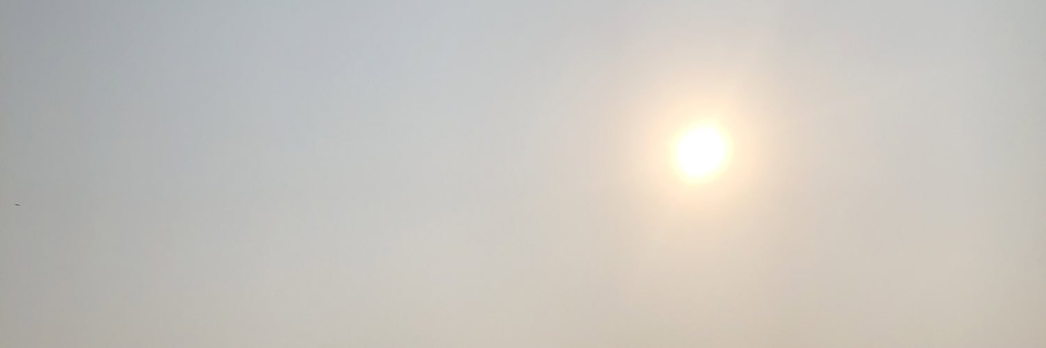 _Tomato_maple's profile banner image