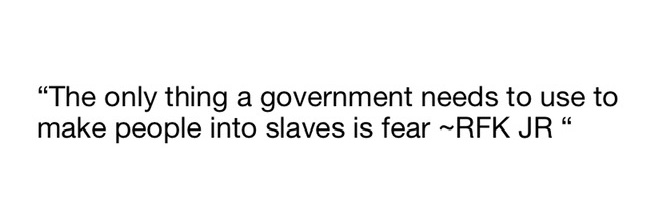 Timothy Alden banner