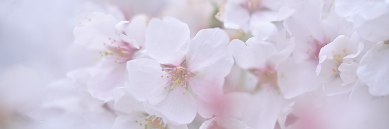 TDSJ_SW20's profile banner image