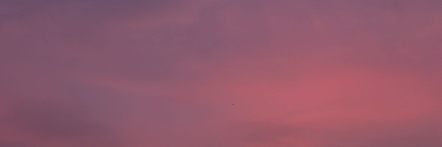 mutter__paneer's profile banner image