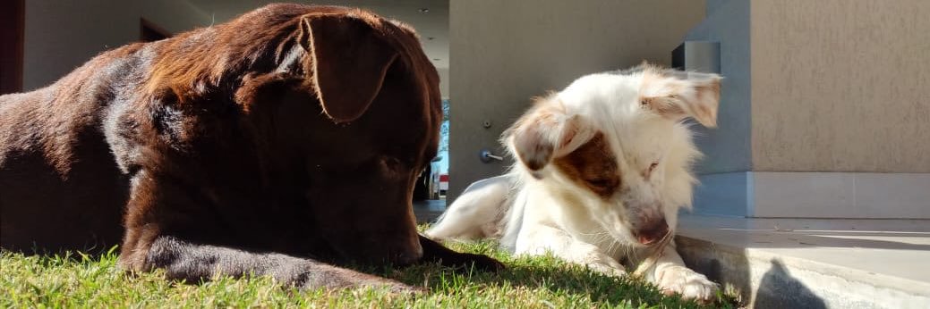 ruthmachin's profile banner image