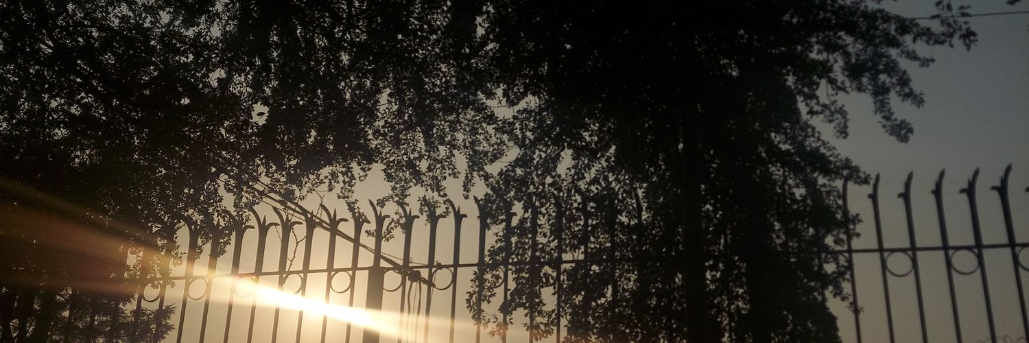 malkazehraa's profile banner image