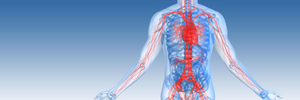 Advanced Vascular banner