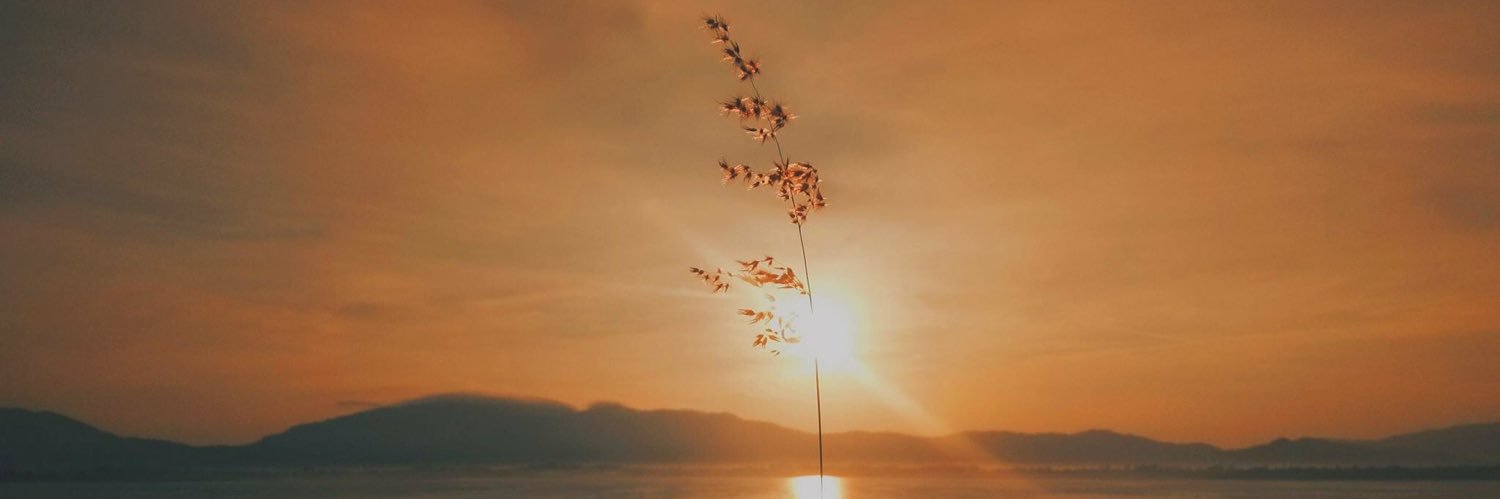 bmfgmn's profile banner image