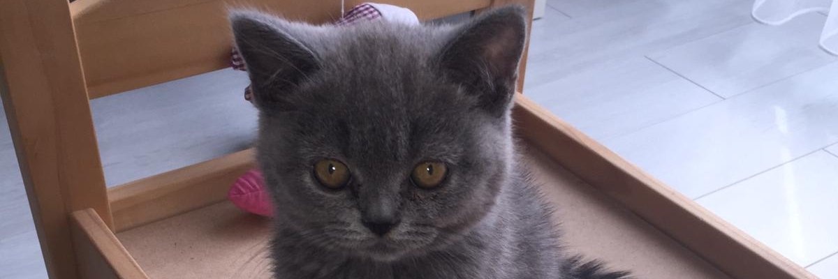 alpertt79's profile banner image