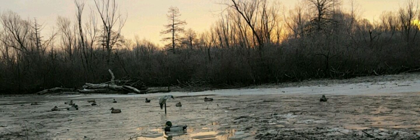 rynechoate01's profile banner image