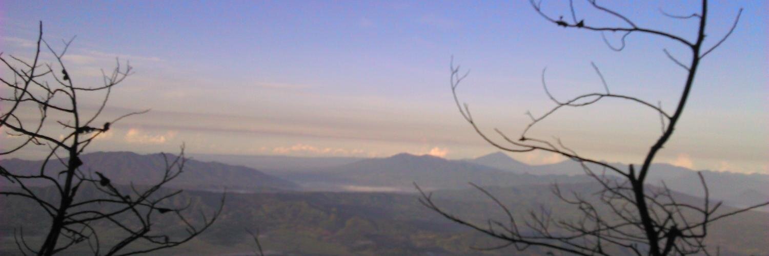 feri banner