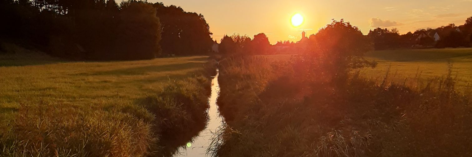 this_ismara's profile banner image