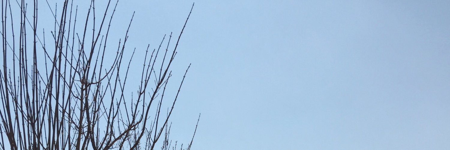 sadeceilayda's profile banner image