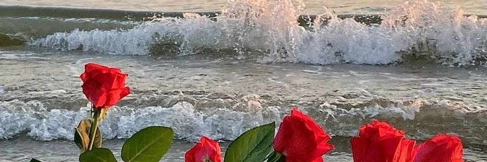 Shimmering901's profile banner image