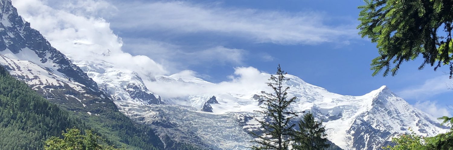 Hervé schweitzer banner