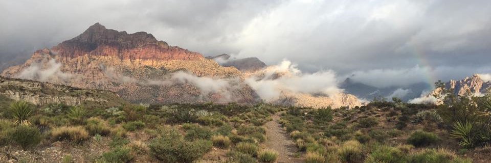 Tripledareruns's profile banner image